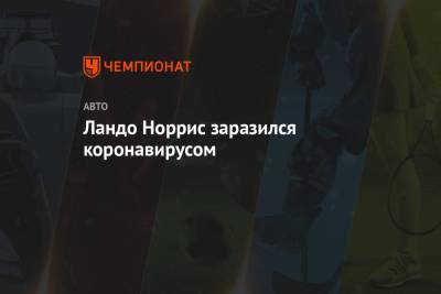 Серхио Перес - Ландо Норрис заразился коронавирусом - championat.com