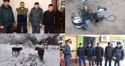 В Джайхуне задержаны серийные воры, обкрадывающие соседей и родственников - dialog.tj - респ. Татарстан - Таджикистан