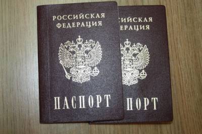 В ушедшем году выросло число иностранцев, ставших гражданами РФ - aif.ru - ДНР - ЛНР