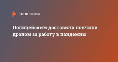 Полицейским доставили пончики дроном за работу в пандемию - ren.tv - США - USA - шт.Пенсильвания