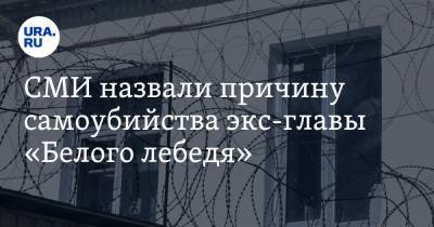 СМИ назвали причину самоубийства экс-главы «Белого лебедя» - ura.news