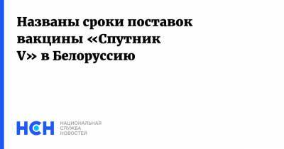 Дмитрий Мезенцев - Названы сроки поставок вакцины «Спутник V» в Белоруссию - nsn.fm - Белоруссия