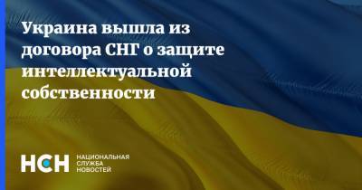 Василий Мокан - Украина вышла из договора СНГ о защите интеллектуальной собственности - nsn.fm - Украина - Киев