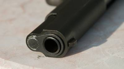 Житель Нижнего Тагила отнес найденный табельный пистолет в полицию - newinform.com - Нижний Тагил