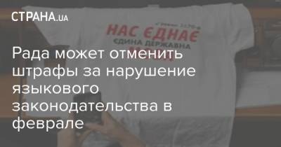Максим Бужанский - Рада может отменить штрафы за нарушение языкового законодательства в феврале - strana.ua