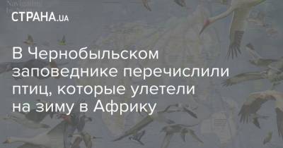В Чернобыльском заповеднике перечислили птиц, которые улетели на зиму в Африку - strana.ua