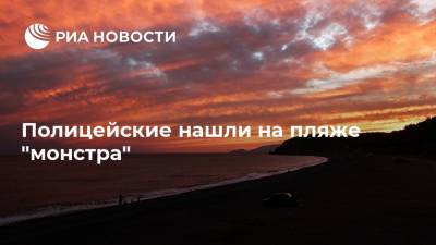 Полицейские нашли на пляже "монстра" - ria.ru - Москва - Англия