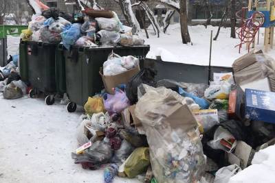 «Экология-Новосибирск»: жалоб на вывоз мусора стало меньше - tayga.info - Новосибирск - район Ленинский - Кировск