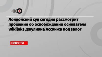 Вадим Прохоров - Джулиан Ассанж - Лондонский суд сегодня рассмотрит прошение об освобождении основателя Wikileks Джулиана Ассанжа под залог - echo.msk.ru - США - Лондон