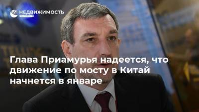 Василий Орлов - Глава Приамурья надеется, что движение по мосту в Китай начнется в январе - realty.ria.ru - Амурская обл. - Благовещенск