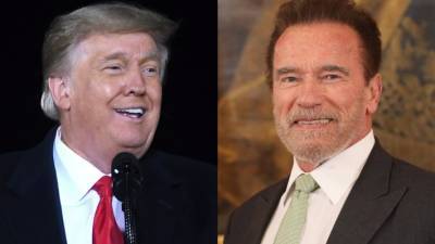 Дональд Трамп - Арнольд Шварценеггер - Шварцнеггер осудил попытки Трампа оспорить итоги выборов в США - polit.info - Австрия - США - шт. Калифорния