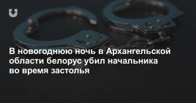 В новогоднюю ночь в Архангельской области белорус убил начальника во время застолья - news.tut.by - Архангельская обл.