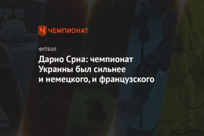Дарио Срна - Дарио Срна: чемпионат Украины был сильнее и немецкого, и французского - championat.com