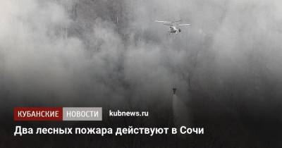 Два лесных пожара действуют в Сочи - kubnews.ru - Сочи - Краснодарский край - населенный пункт Угрозы - Дагомыс