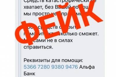 Костромичи, будьте бдительны: мошенники добрались и до «Лизы Алерт» - kostroma.mk.ru - Кострома