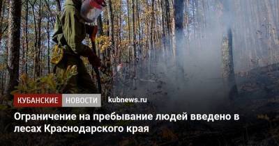 Ограничение на пребывание людей введено в лесах Краснодарского края - kubnews.ru - Краснодарский край