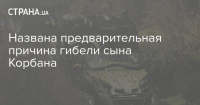 Названа предварительная причина гибели сына Корбана - strana.ua - Днепр