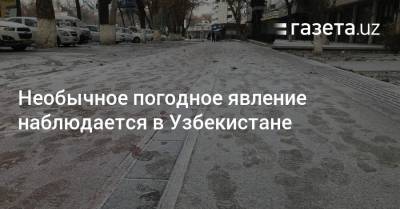 Необычное погодное явление наблюдается в Узбекистане - gazeta.uz - Узбекистан
