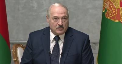 Владимир Зеленский - Владимир Путин - Александр Лукашенко - ""С колена бы не здоровался". Лукашенко рассказал о своем отношении к Зеленскому (видео) - focus.ua - Киев - Белоруссия