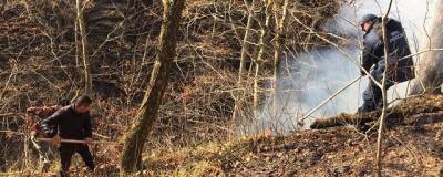 В Краснодарском крае из-за пожаров до 11 января ограничили доступ к лесам - runews24.ru - Сочи - Краснодарский край - район Туапсинский - Кубани