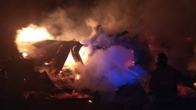 В Башкирии в пожаре погибли 19 животных - ufacitynews.ru - Башкирия
