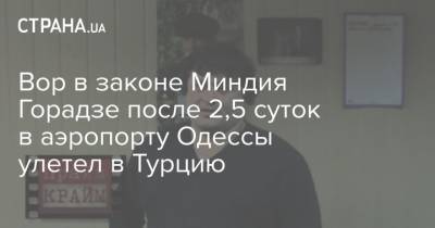 Вор в законе Миндия Горадзе после 2,5 суток в аэропорту Одессы улетел в Турцию - strana.ua - Белоруссия - Турция - Одесса