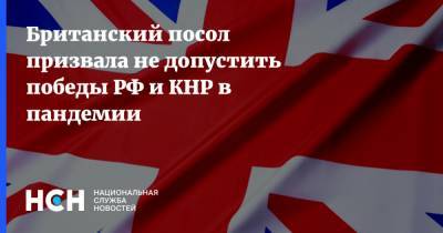 Карен Пирс - Британский посол призвала не допустить победы РФ и КНР в пандемии - nsn.fm - Россия - Китай - США - Англия