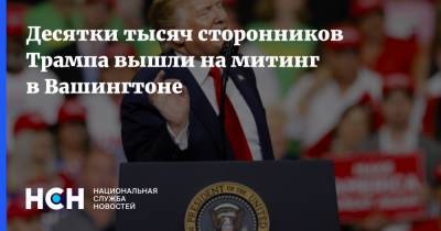 Дональд Трамп - Джо Байден - Десятки тысяч сторонников Трампа вышли на митинг в Вашингтоне - nsn.fm - США - Вашингтон - шт. Джорджия