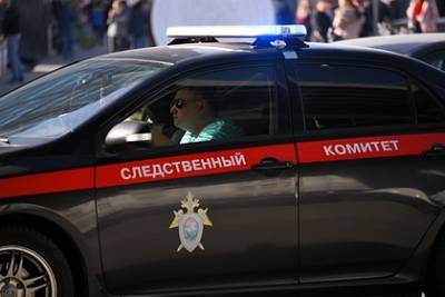 Пропавшую в ноябре российскую студентку нашли живой - lenta.ru - Поронайск