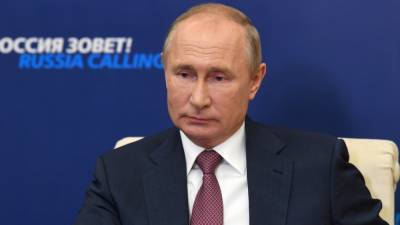 Владимир Путин - Евгений Поддубный - Путин раскрыл свои мотивы при принятии решений на сирийском направлении - polit.info - Сирия