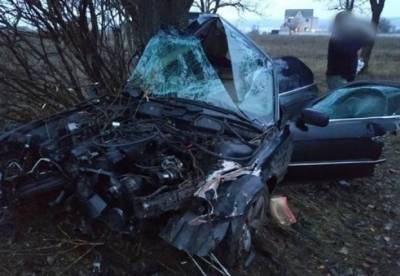 Под Николаевом разбился насмерть патрульный на BMW (фото) - facenews.ua - Николаев - Николаевская обл.