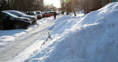 Евгений Тишковец - Сугробы в Москве вырастут до 22 сантиметров - m24.ru - Москва
