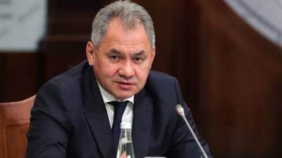 Сергей Шойгу - Владимир Путин - Шойгу сравнил организацию визита Путина в Дамаск с голливудским триллером - polit.info - Дамаск