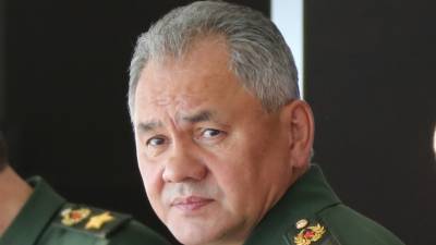 Сергей Шойгу - Владимир Путин - Шойгу назвал подготовку Путина в Сирию триллером «похлеще голливудского» - mir24.tv - Сирия - Дамаск
