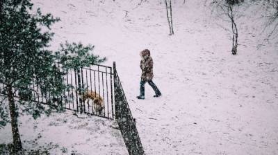 МЧС предупредило воронежцев о снежной буре с дождём - vestivrn.ru - Воронежская обл.