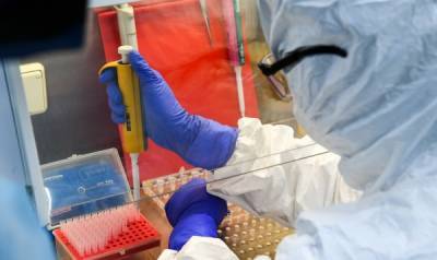 Британский штамм коронавируса выявлен уже в 22 странах Европы - nakanune.ru - Англия
