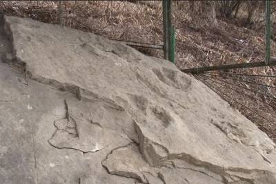 На Ставрополье организуют прогулки с динозаврами - kavkaz.mk.ru - Ставрополье - Кисловодск