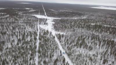 Мороз - В ночь на пятницу в Ленобласти ожидается до -13 градусов - piter.tv - Ленинградская обл. - Санкт-Петербург