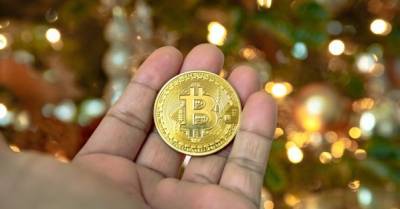 Стоимость биткойна обновила исторический максимум - delo.ua