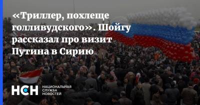 Сергей Шойгу - Владимир Путин - «Триллер, похлеще голливудского». Шойгу рассказал про визит Путина в Сирию - nsn.fm - Сирия