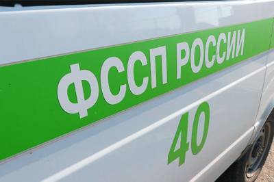 В 2020 году приставы выдворили из России более 10 тысяч иностранцев - aif.ru