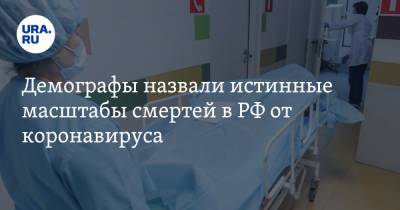 Алексей Захаров - Алексей Ракша - Демографы назвали истинные масштабы смертей в РФ от коронавируса - ura.news