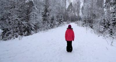 Снег и холод в Латвии: синоптики дали прогноз на две недели - lv.sputniknews.ru - Рига - Латвия