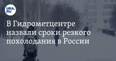 Роман Вильфанд - В Гидрометцентре назвали сроки резкого похолодания в России - ura.news - Москва - Санкт-Петербург - Екатеринбург - Челябинск - Пермь