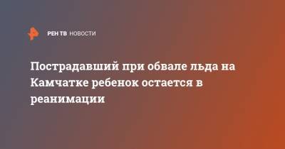 Пострадавший при обвале льда на Камчатке ребенок остается в реанимации - ren.tv - Камчатская обл.