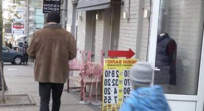 Доллар после затяжных выходных рухнет в пропасть, НБУ обновил курс валют: чего ждать украинцам - sport.politeka.net