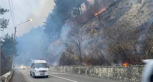 Природные пожары создали угрозу для сел в Грузии и Абхазии - kavkaz-uzel.eu - Грузия - Апсны