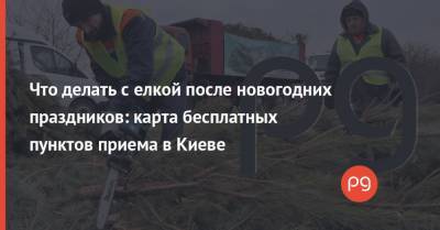 Что делать с елкой после новогодних праздников: карта бесплатных пунктов приема в Киеве - thepage.ua - Киев
