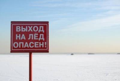 За день спасатели вывели более сотни петербуржцев со льда водоемов - online47.ru - Ленинградская обл. - Санкт-Петербург