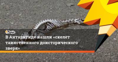 ВАнтарктиде нашли «скелет таинственного доисторического зверя» - ridus.ru - Антарктида